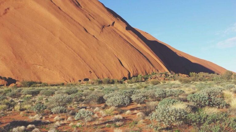 Does 99Exch Offer A No-Deposit Bonus For Signups?